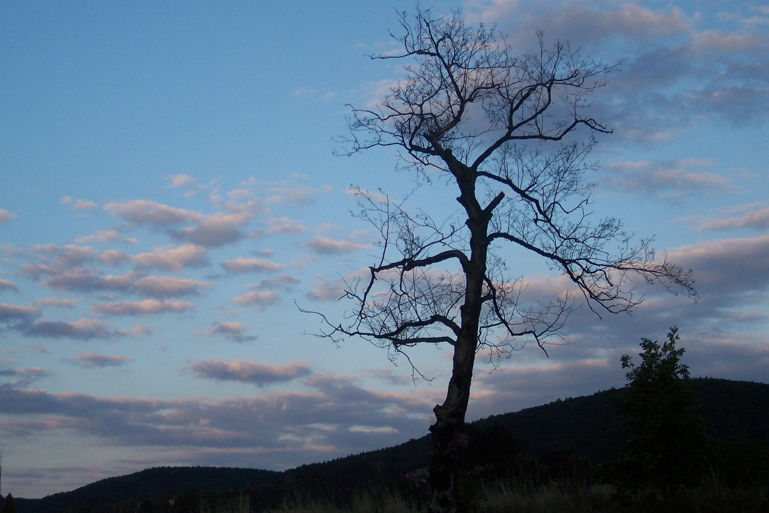 100_1047.JPG
