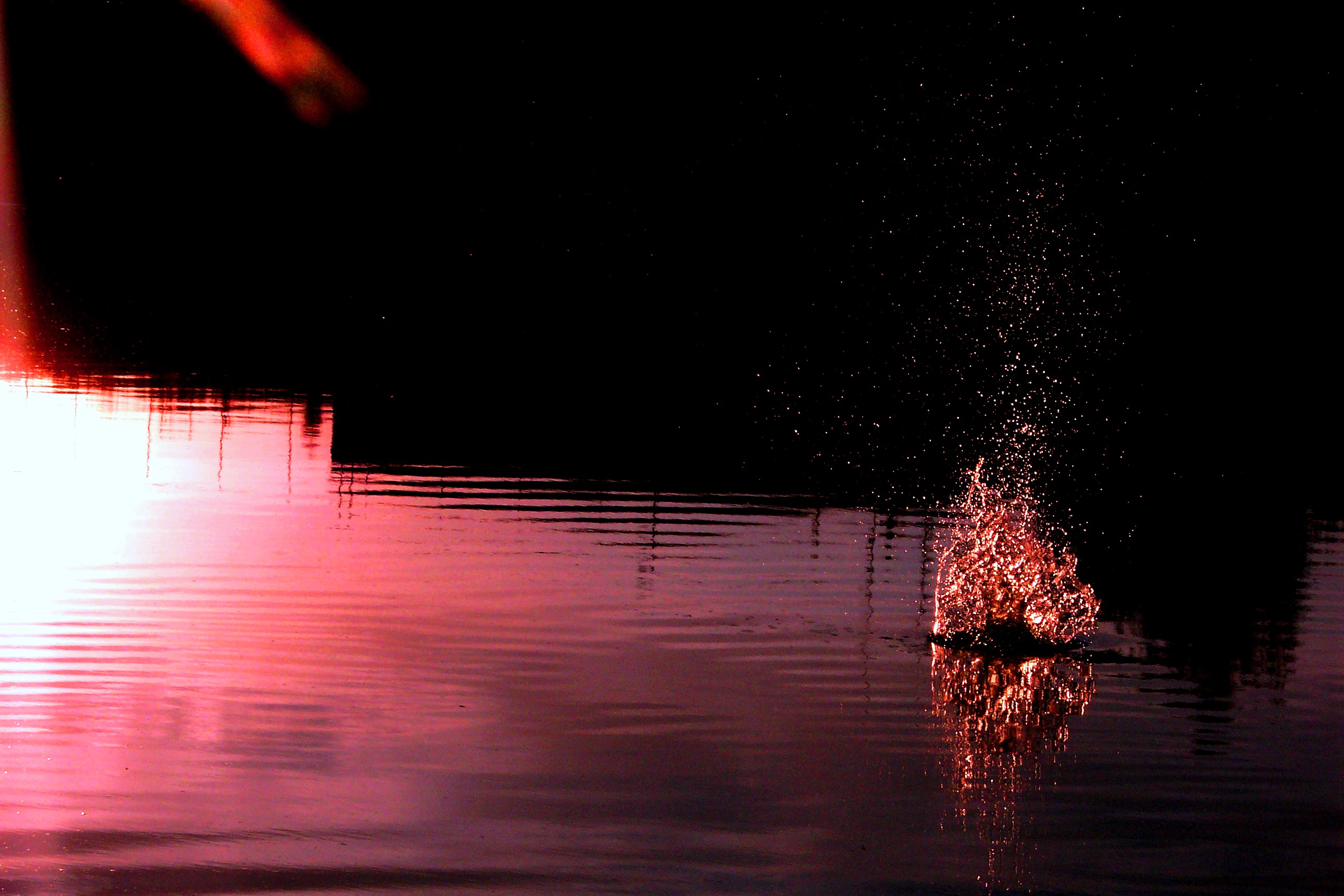 100_11332.JPG