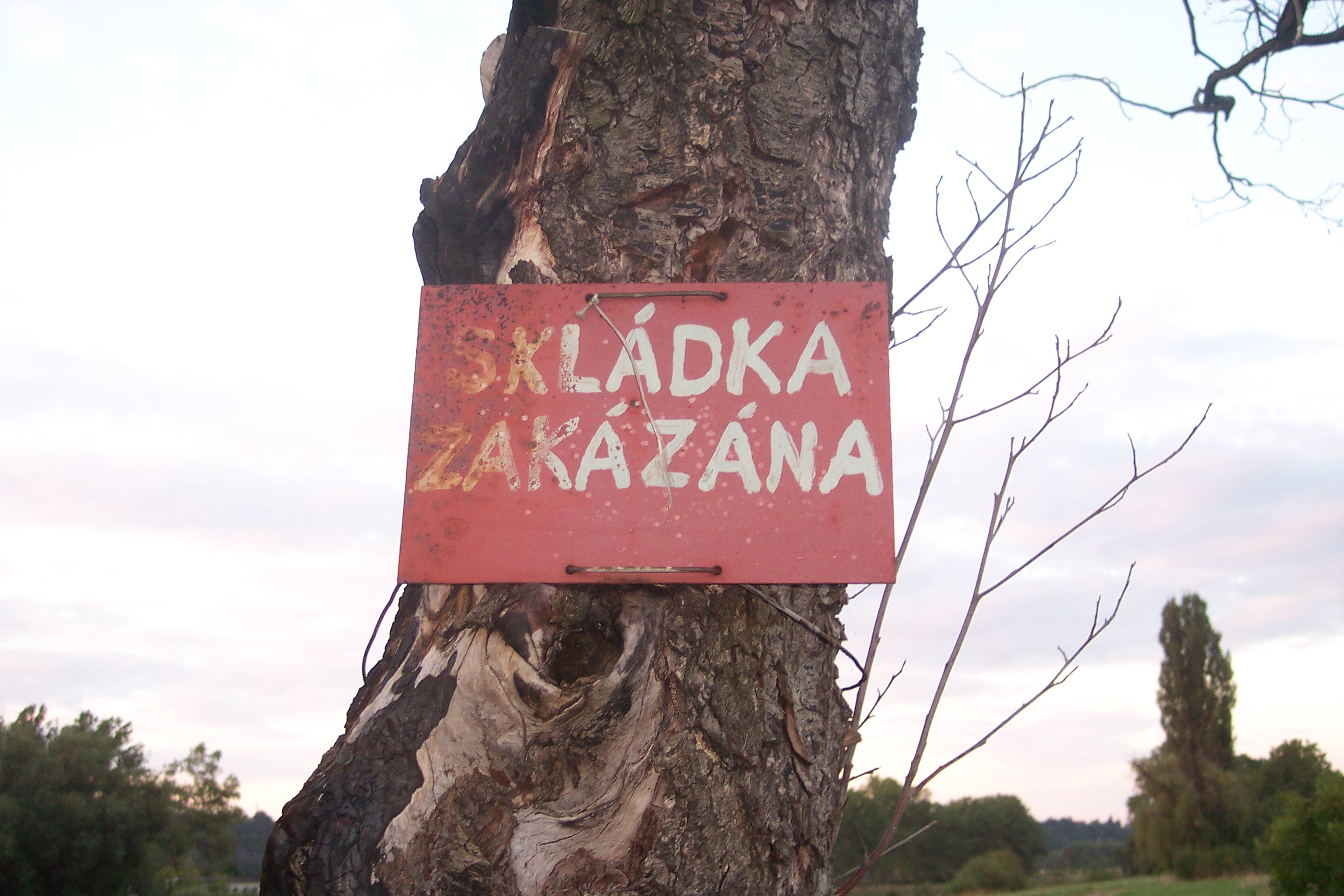 100_1076.JPG